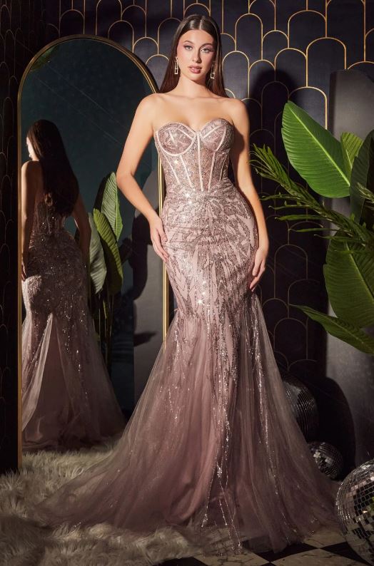 Designer Prom / Special Occasion Dresses